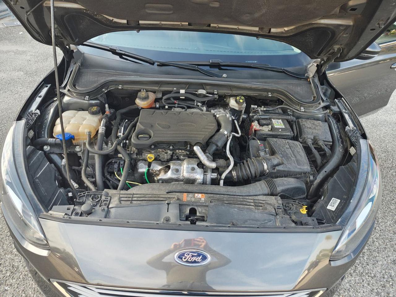 Ford Focus 1.5 EcoBlue Business CO-PILOT #50502