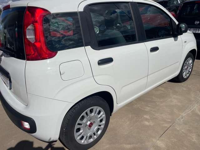 Fiat Panda Panda 1.2 Easy "Km 57.000"