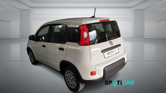 FIAT Panda 1.0 FireFly S&S Hybrid Icon