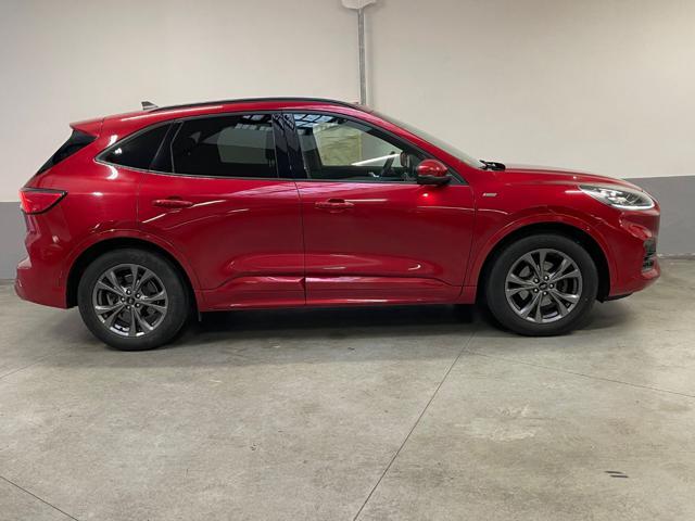 FORD Kuga 1.5 EcoBoost 150 CV 2WD ST-Line X