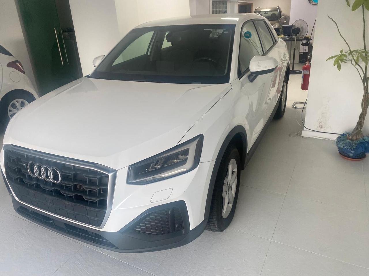 Audi Q2 35 TDI quattro S tronic Business Plus