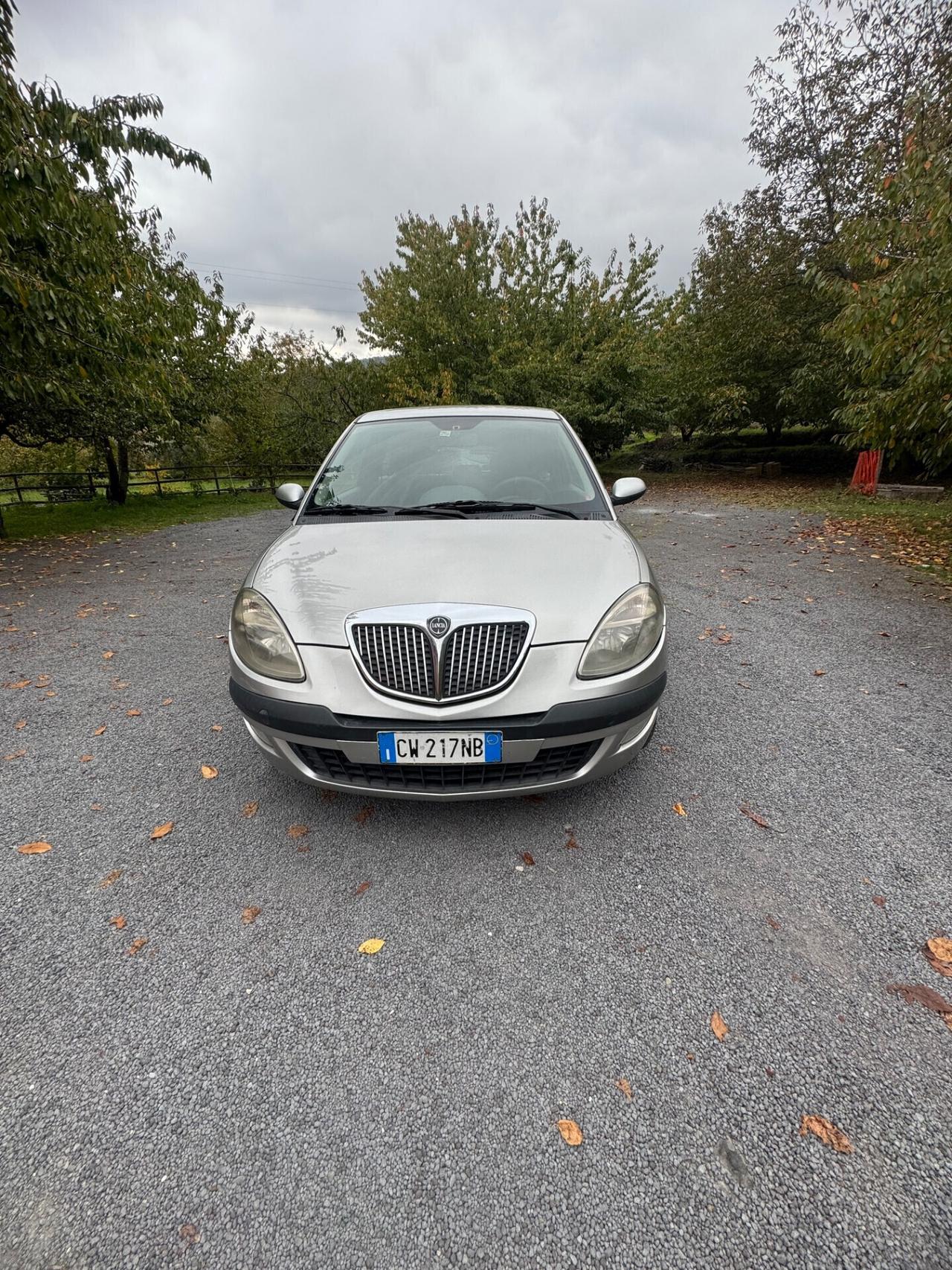 Lancia Ypsilon 1.3 Multijet 16V Platino