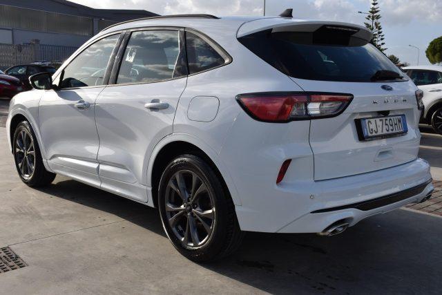 FORD Kuga 1.5 EcoBlue 120 CV aut. 2WD ST-Line