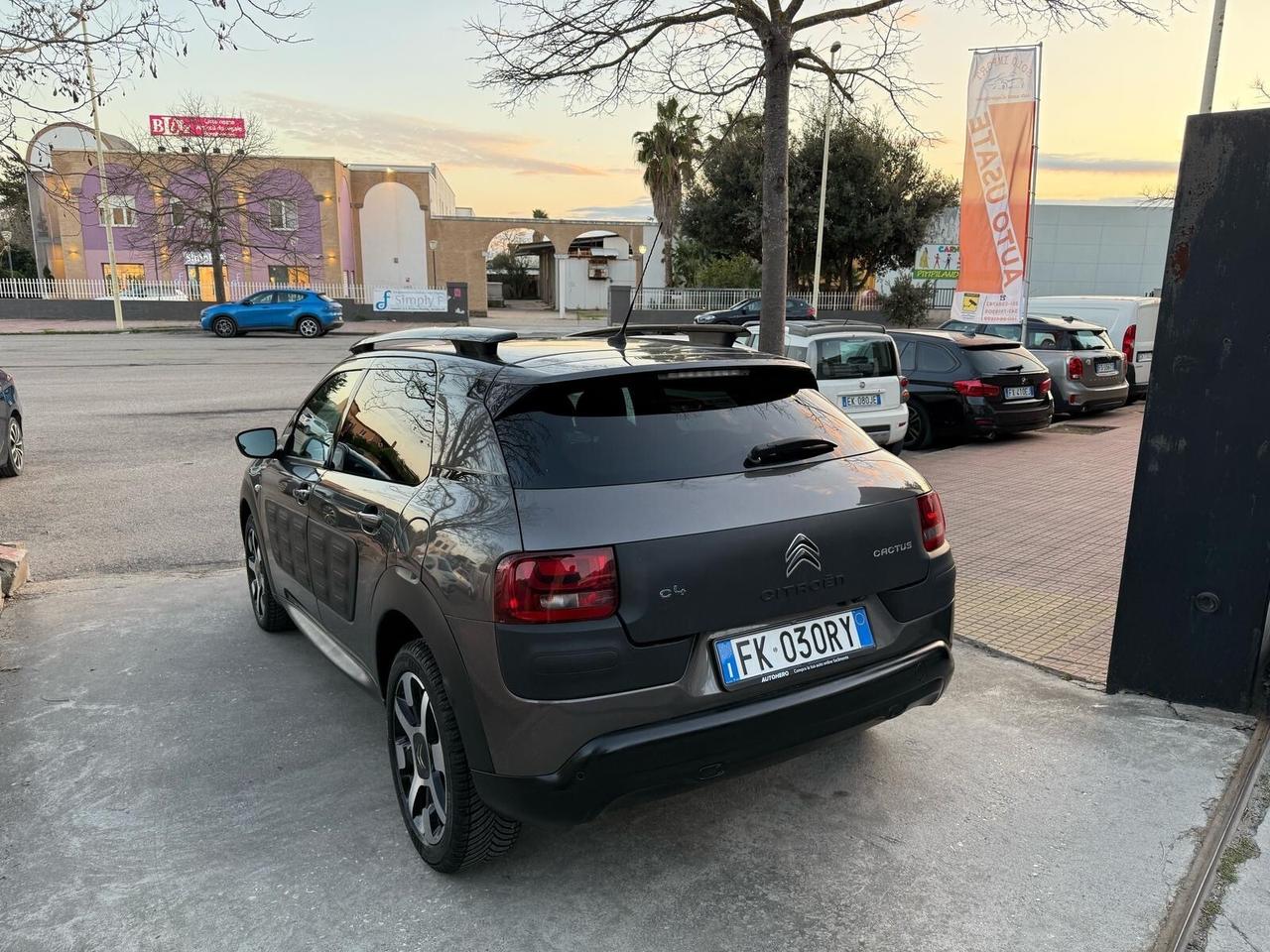 Citroen C4 Cactus BlueHDi 100 Shine