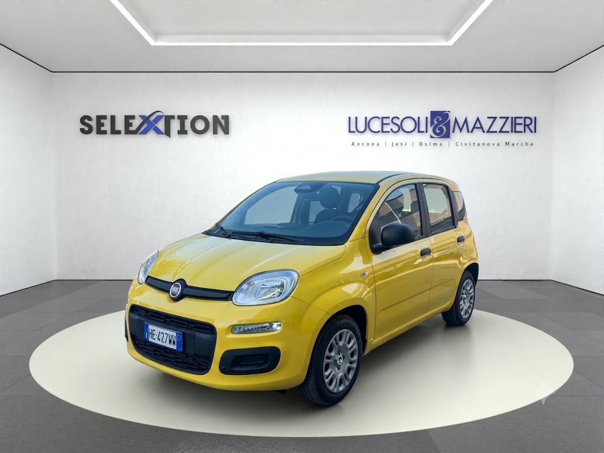 FIAT Pandina - Pandina 1.0 FireFly 65 CV Hybrid Pop