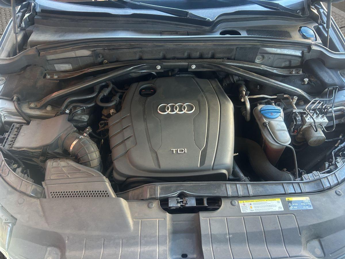 AUDI - Q5 - 2.0 TDI 143 CV quattro Advanced Plus S LINE