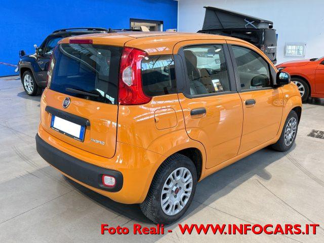 FIAT Panda Hybrid 1.0 FireFly 70 cv - PROMO