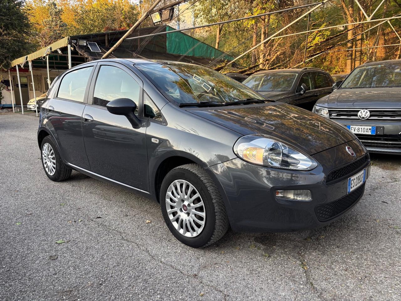 Fiat Punto 1.2 8V 5 porte Lounge OK Neopatentati
