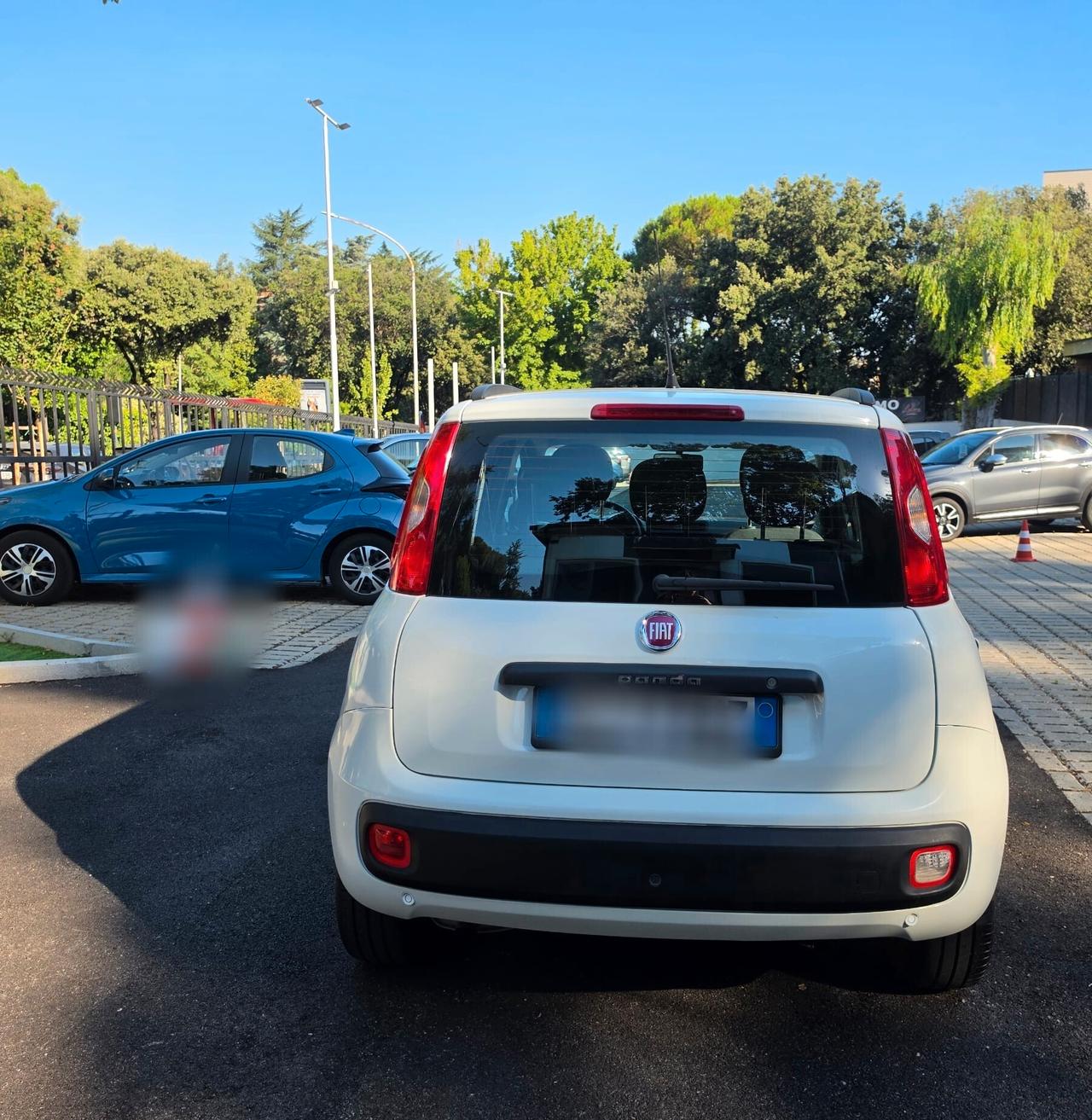 Fiat Panda 1.3 MJT 80 CV S&S Easy AUTO IN CONTO VENDITA