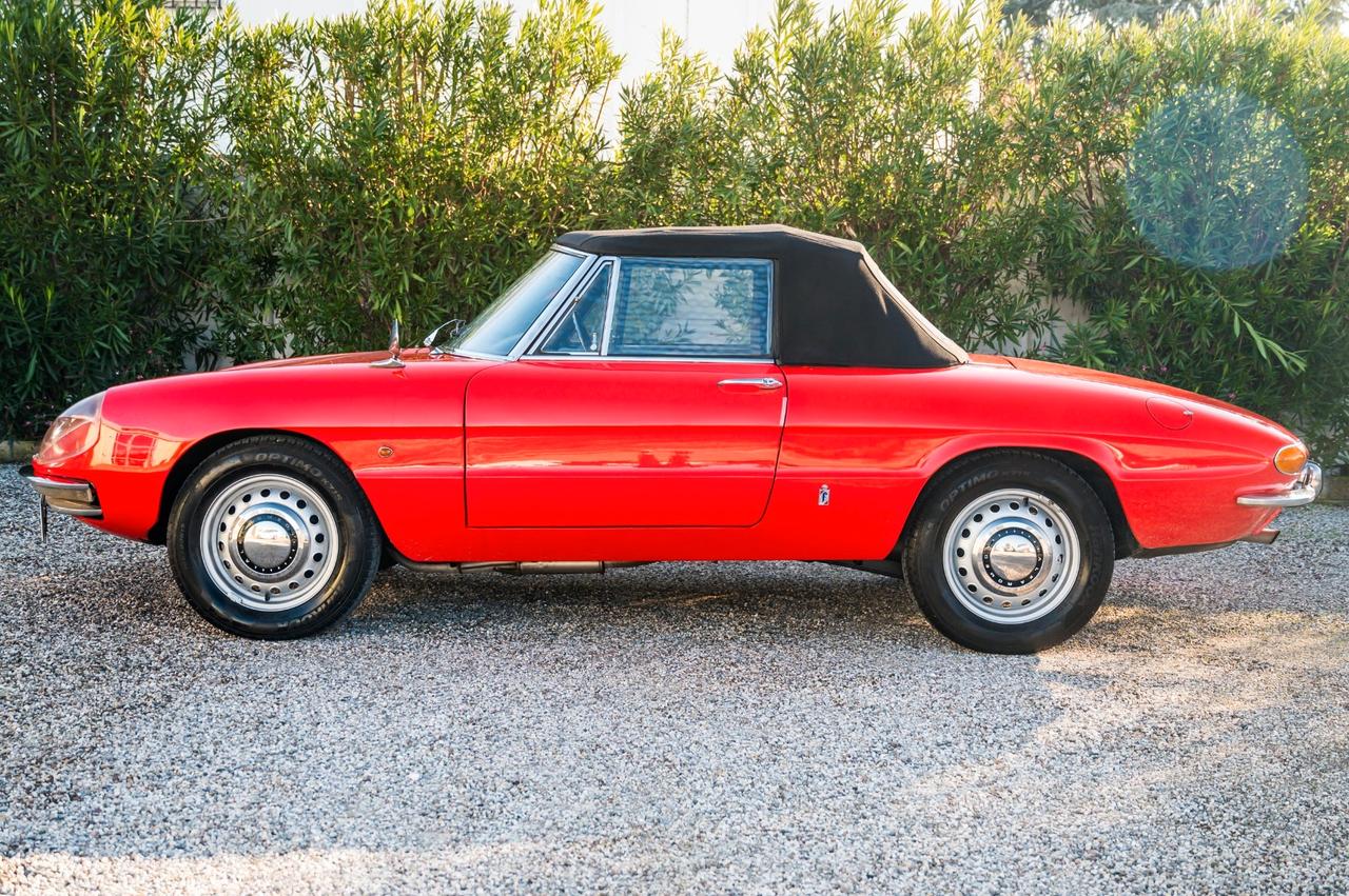 Alfa Romeo Spider 1600 Duetto ”Osso di Seppia”