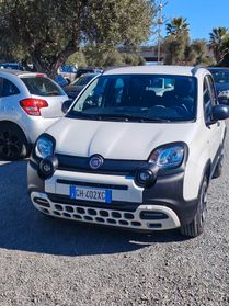 Fiat Panda 2022 - 1.0 FireFly S&S Hybrid City Cross Lb automobili