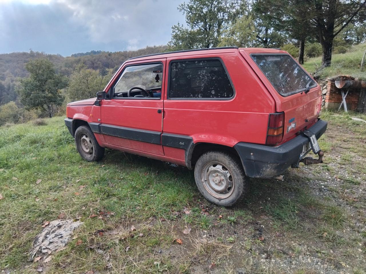 Fiat Panda van 1100 i.e. cat 4x4 2 posti