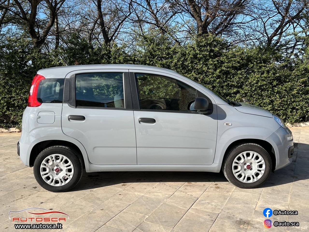 Fiat Panda 1.2 69cv Easy 2019 * SOLI 60.000km *