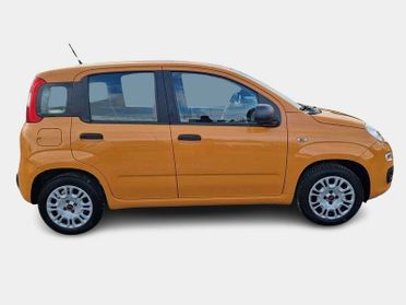 FIAT PANDA 1.2 69cv S/S E6d-Temp Easy 5 PORTE