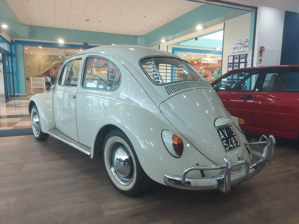 Volkswagen Maggiolino 6 volt vetro piatto ASI + CRS