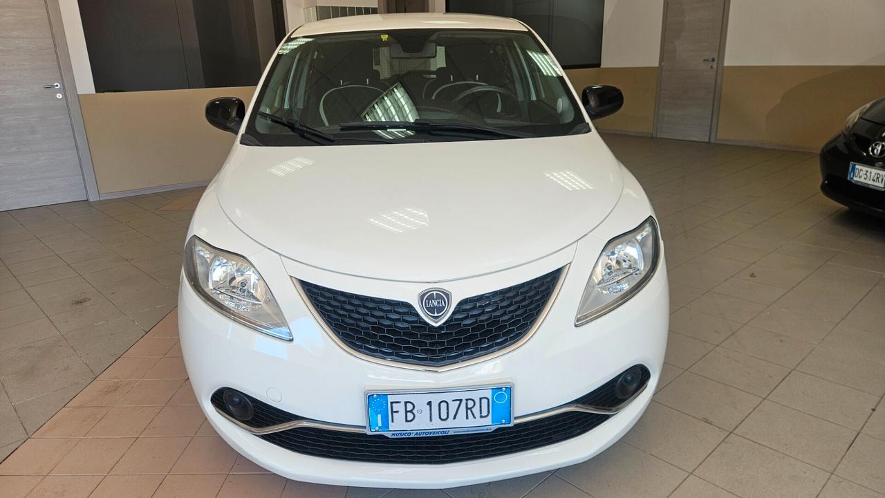 Lancia Ypsilon 1.3 MJT 16V 95 CV 5 porte S&S Platinum