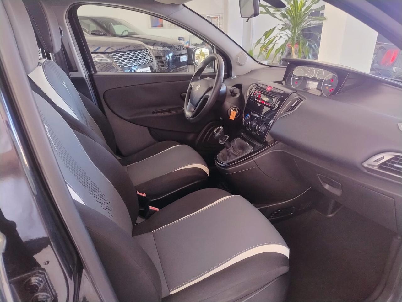 Lancia Ypsilon 1.2 69 CV 5 porte Elefantino