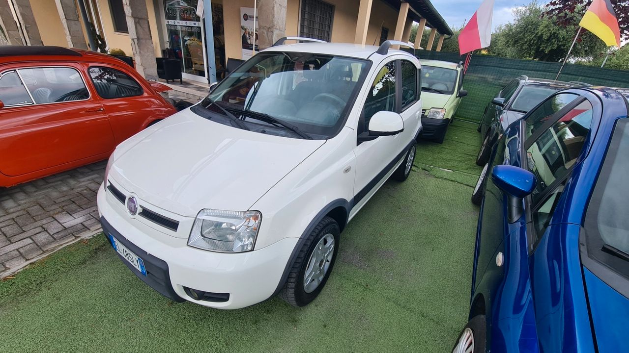 Fiat Panda 1.3 MJT 16V DPF 4x4 Climbing