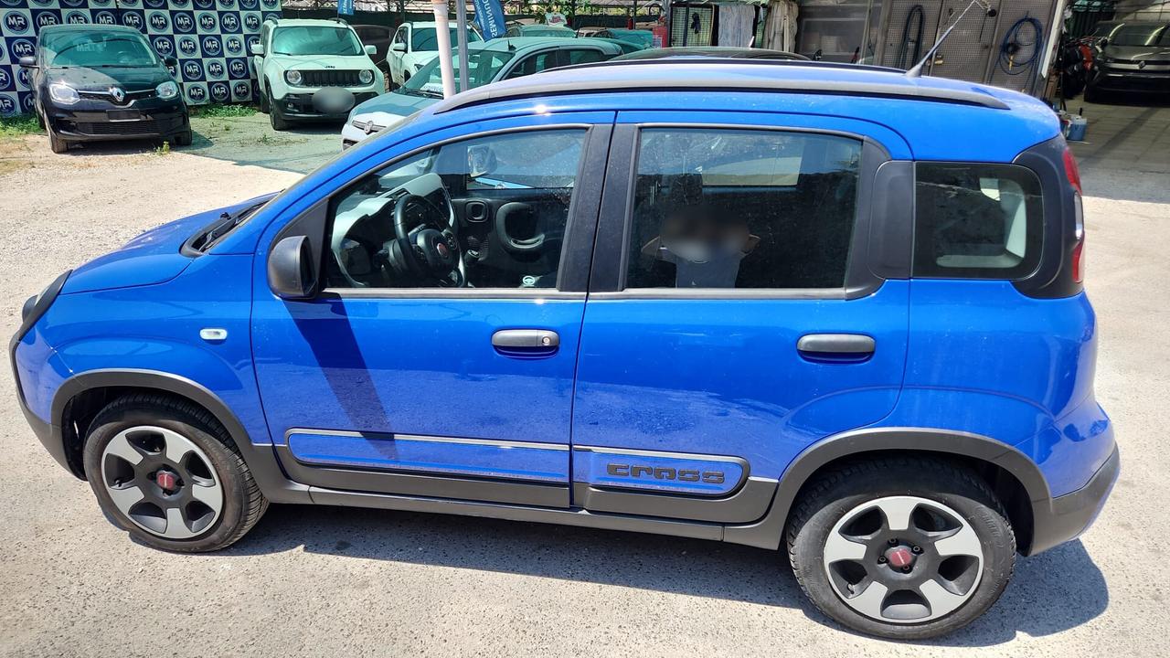 Fiat Panda CROSS 1.2 BENZINA 2018 USATO