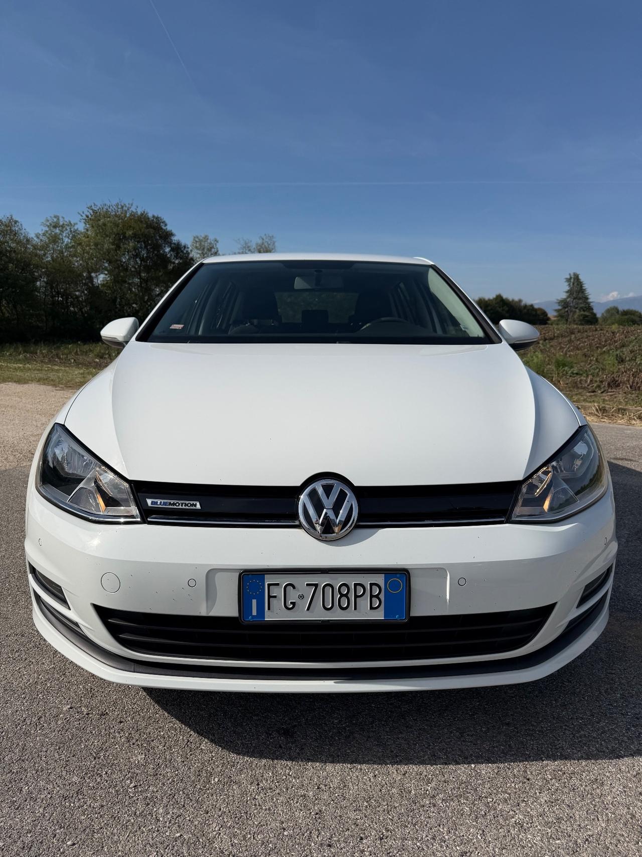 Volkswagen Golf 1.4 TGI 5p. Executive BlueMotion