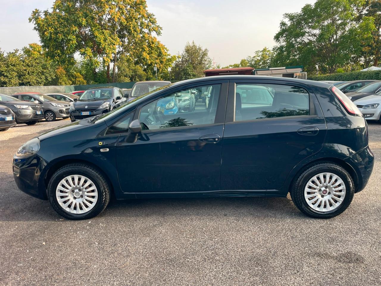 Fiat Punto 1.2 8V 5 porte Young
