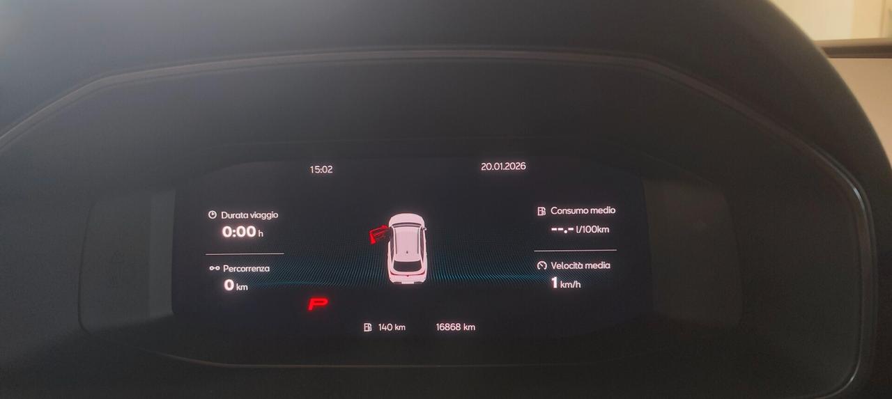 Cupra Leon Sportstourer 2.0 TDI 150 CV DSG