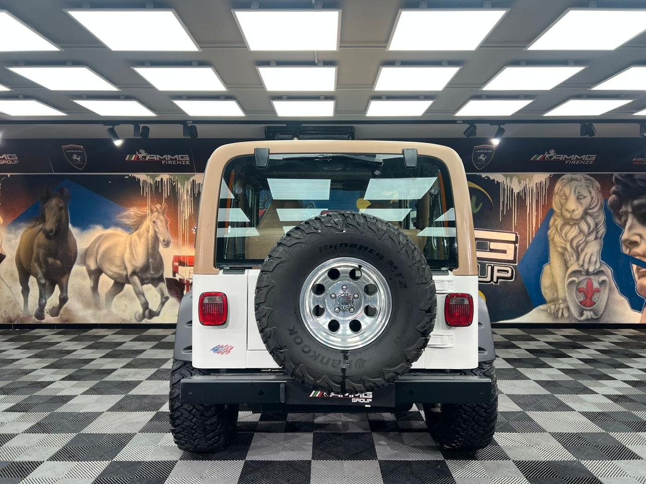 Jeep Wrangler TJ Hard Top 4.0 (441)