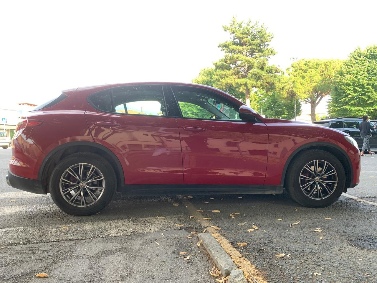 Alfa Romeo Stelvio 2.2 Business #6236