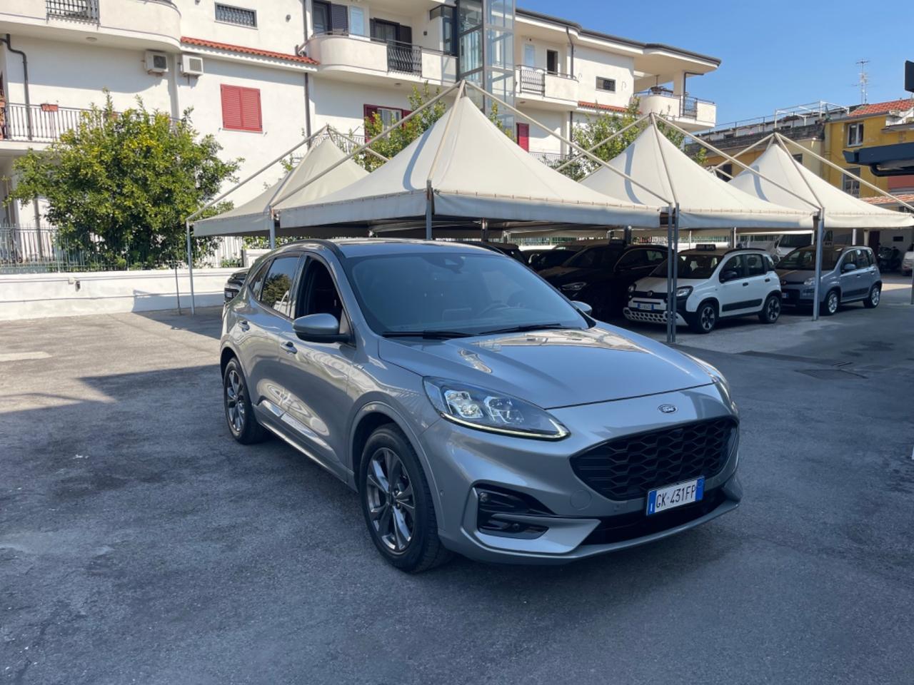 Ford Kuga 1.5 EcoBlue 120 CV aut. 2WD ST-Line X KM CERTIFICATI
