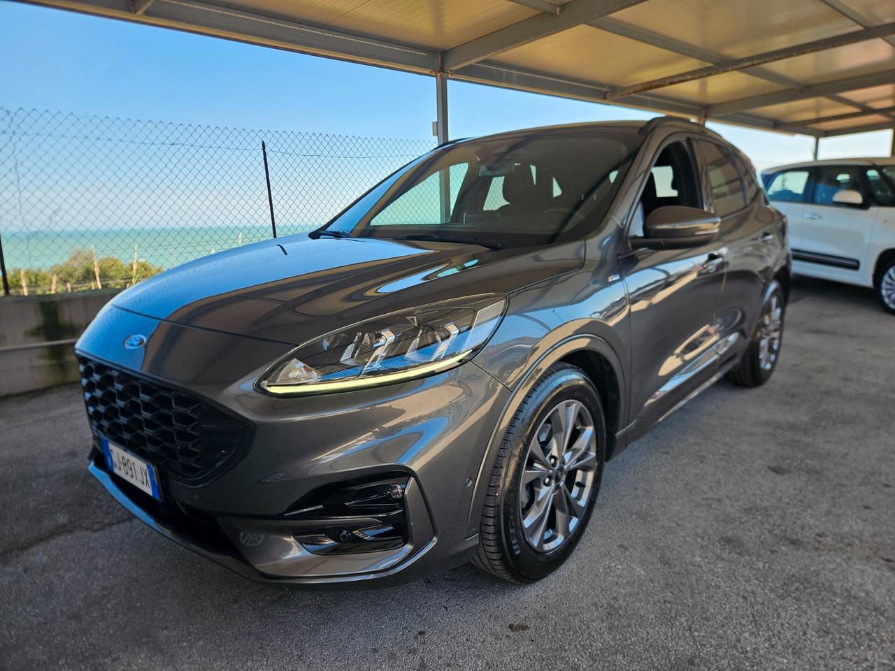 Ford Kuga 2.0 EcoBlue Hybrid 150 CV 2WD ST-Line