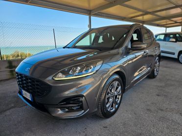 Ford Kuga 2.0 EcoBlue Hybrid 150 CV 2WD ST-Line