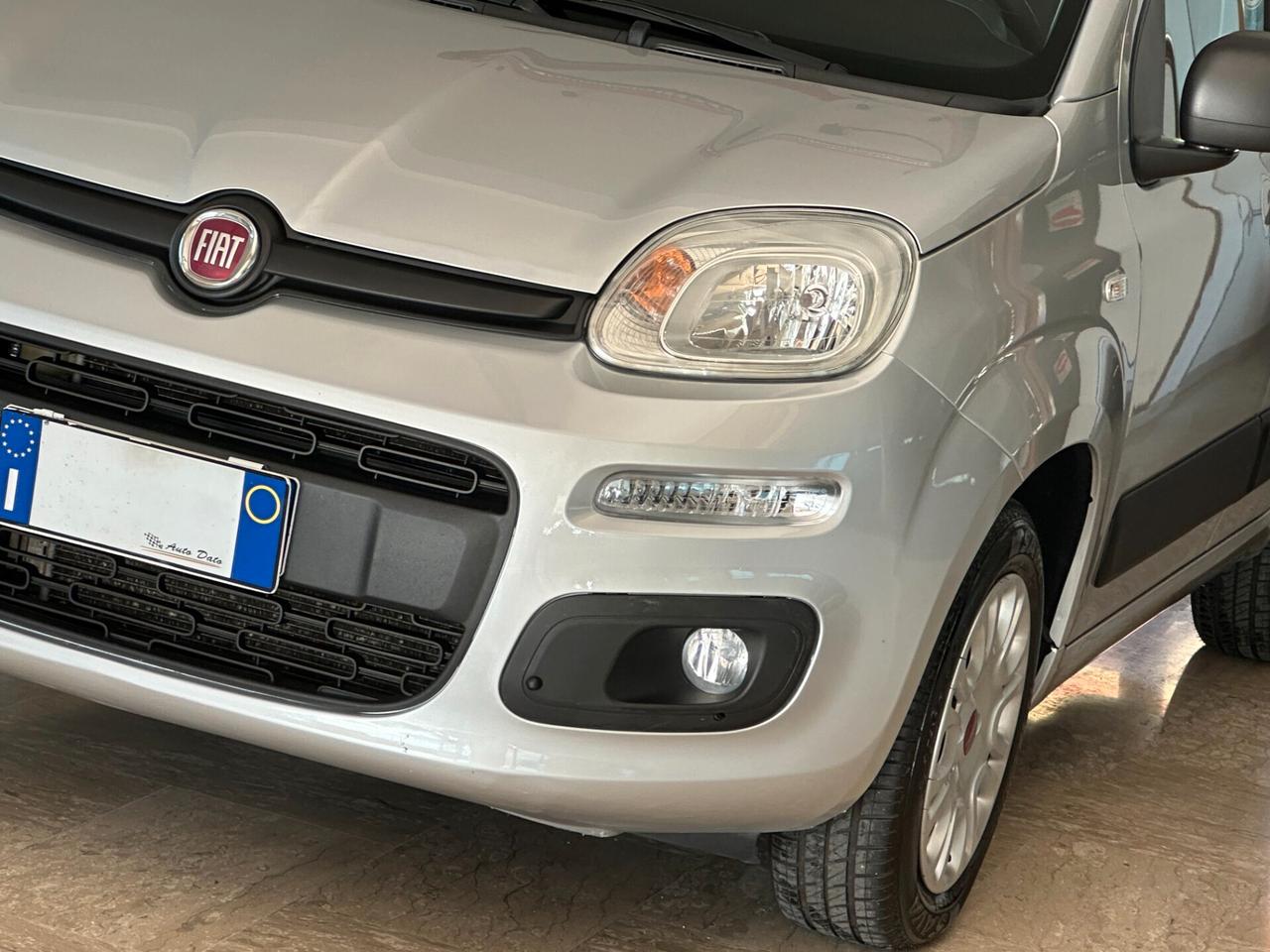 Fiat Panda New 1.2 69 cv. EASY (Autocarro 4 posti N1)