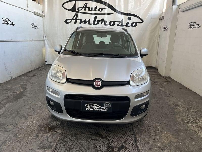 FIAT Panda Panda 1.2 GPL tua da 99,00 al mese