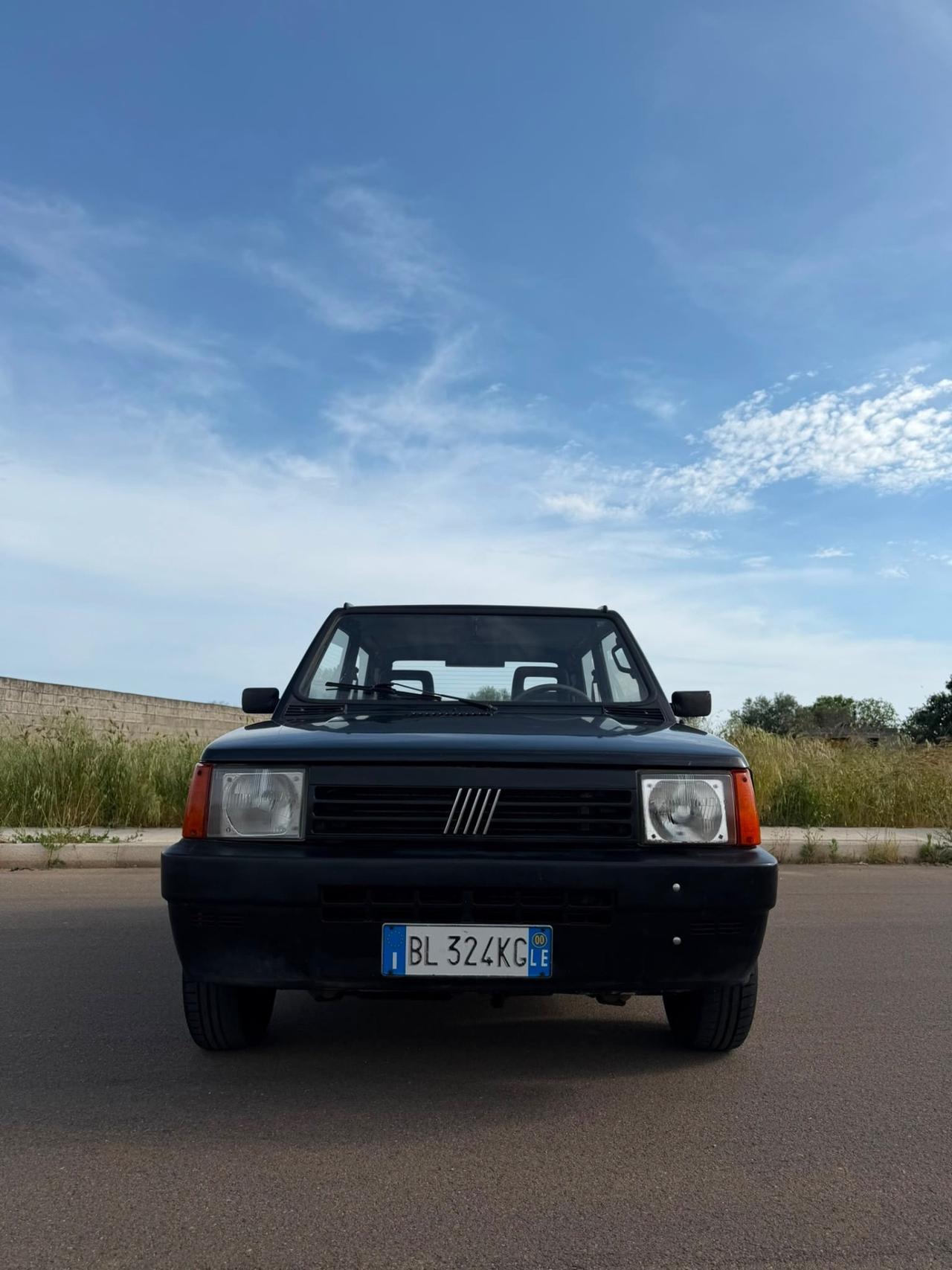 Fiat Panda 900 i.e. cat Young