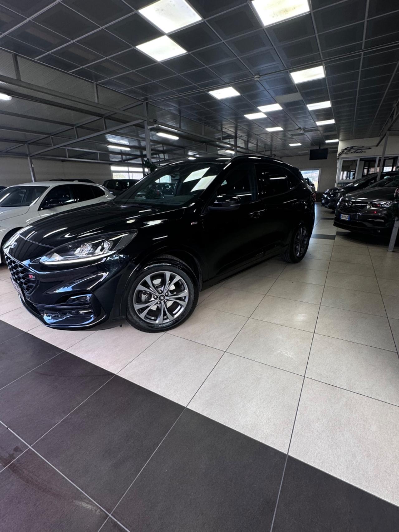 Ford Kuga 1.5 EcoBlue 120 CV 2WD ST-Line 2021