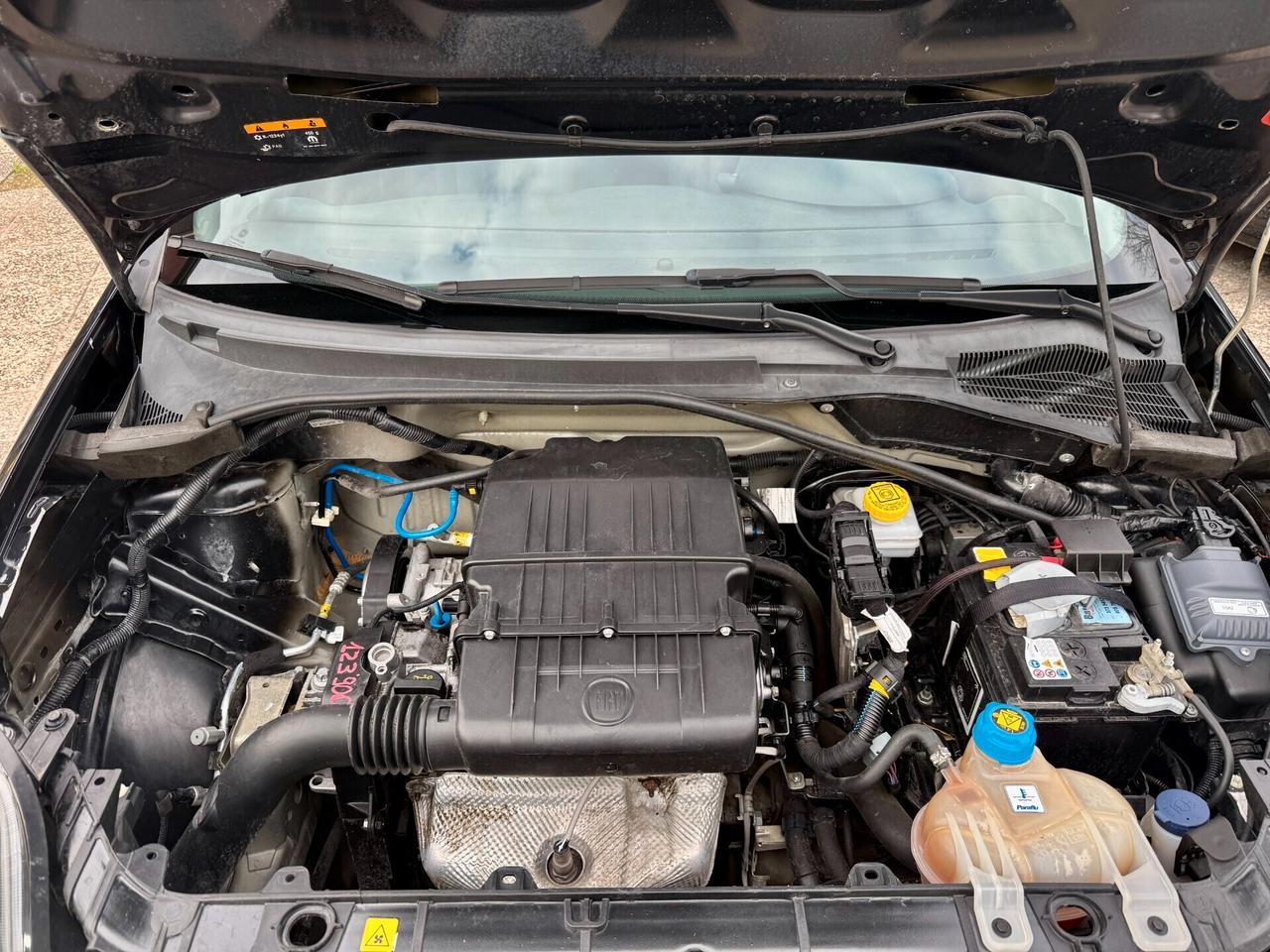 " INTROVABILE " Fiat Punto 1.4 8V 5 porte GPL