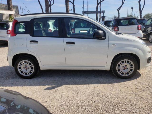 FIAT Panda 1.2 Easy 69cv CLIMA MANUALE OK NEOPATENTATI