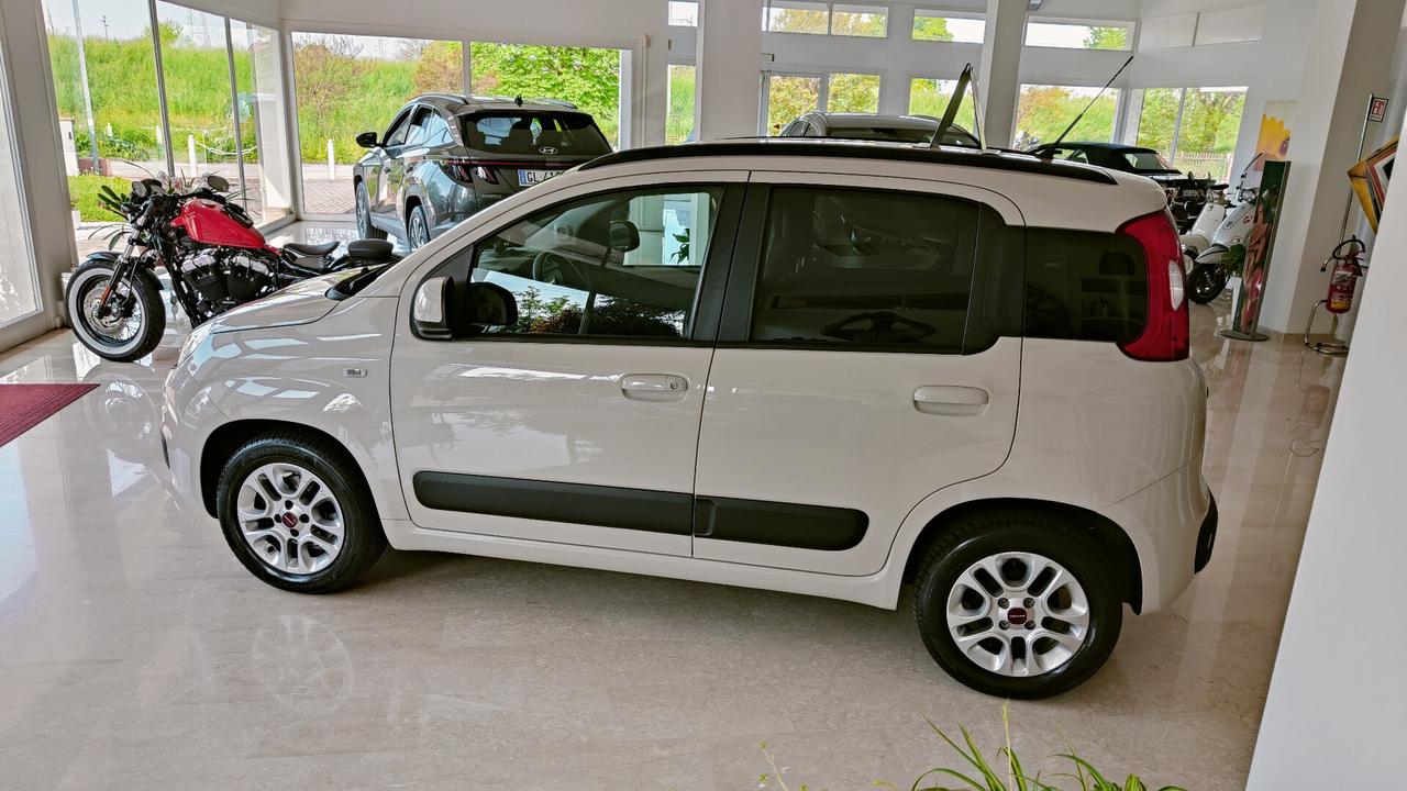 Fiat Panda 1.2 Lounge OK NEO PATENTATI 77.800 KM
