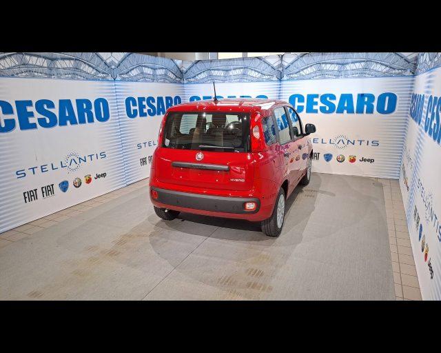 FIAT Panda 1.0 Hybrid Icon s&s 70cv 5 posti