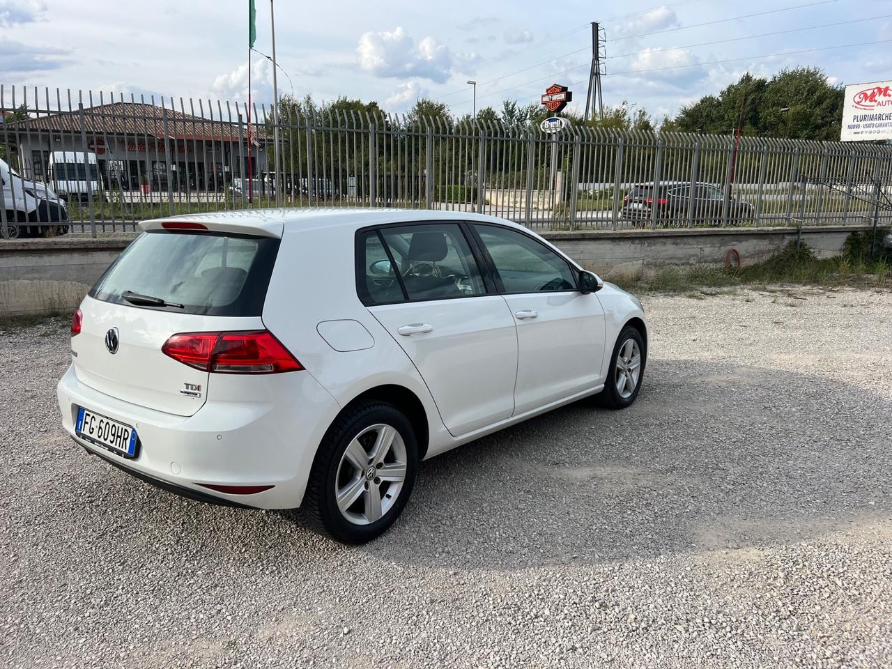 Volkswagen Golf 1.6 TDI 115 CV 5p. Business BlueMotion Technology
