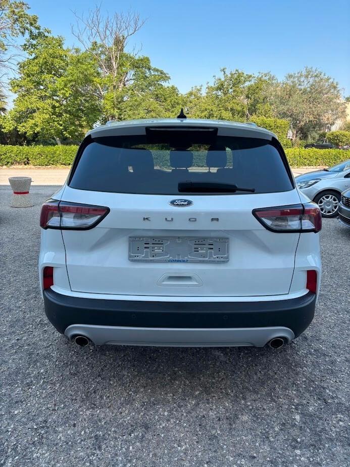 Ford Kuga 1.5 EcoBlue 120 CV aut. 2WD Titanium Business