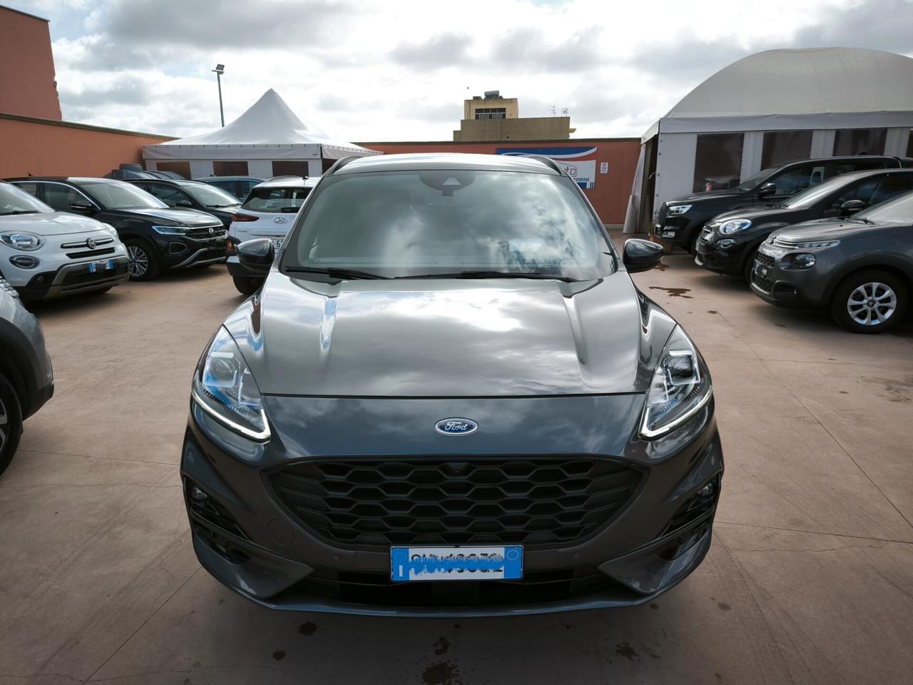 Ford Kuga 2.0 EcoBlue Hybrid 150 CV 2WD ST-Line