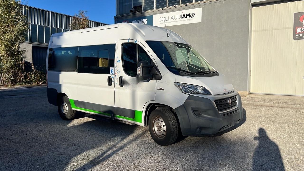 Fiat Ducato 290 Trasporto Disabili