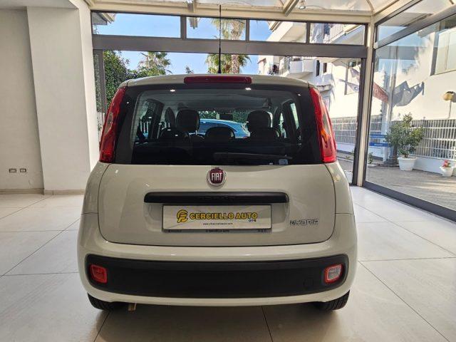 FIAT Panda 1.0 FireFly S&S Hybrid da ?119,00 mensili