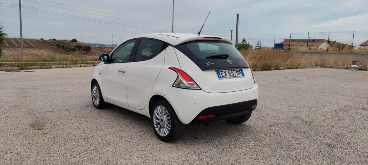 Lancia Ypsilon 1.3 MJT 16V 95 CV 5 porte S&S Platinum