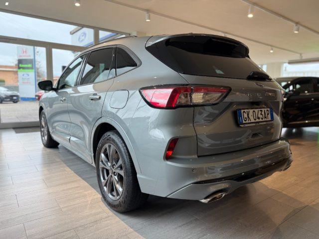 FORD Kuga 1.5 EcoBlue 120 CV 2WD ST-Line