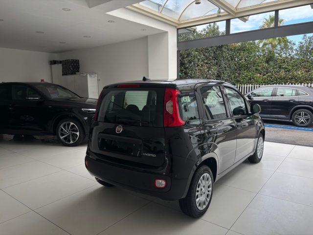 FIAT Panda 1.0 FireFly S&S Hybrid da ?139,00 mensili