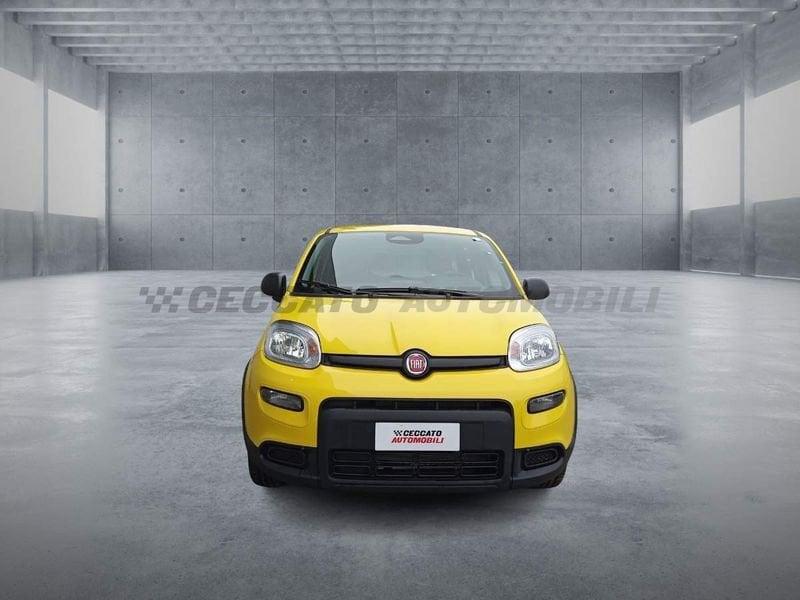 FIAT Panda 1.0 70cv Hybrid Panda