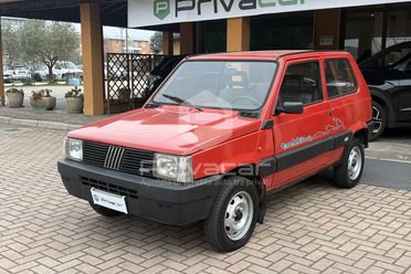 FIAT Panda 1ª serie 1000 4x4 Trekking
