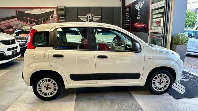 Fiat Panda 1.2 Benzina 69CV S&S Easy +Neopatentato
